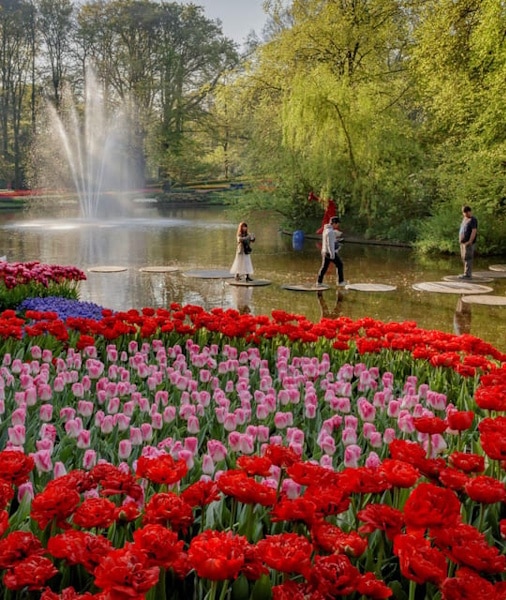 keukenhof bi̇leti̇ ()